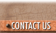 Contact Wendy from WalkwithMeerkats
